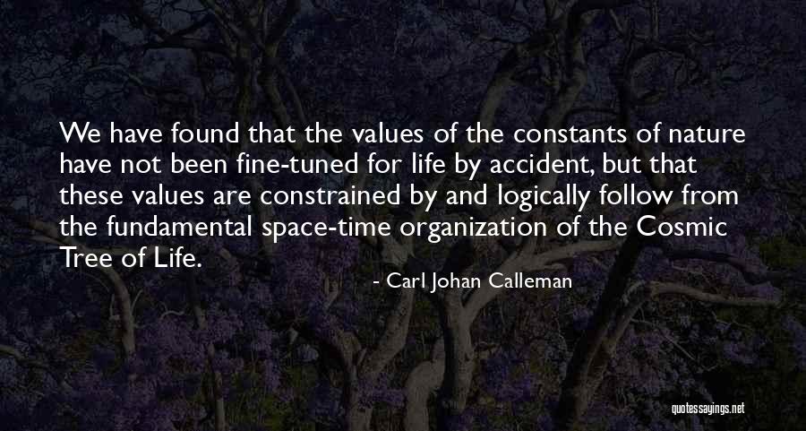 Constants In Science Quotes By Carl Johan Calleman Constants In Science Quotes By Carl Johan Calleman