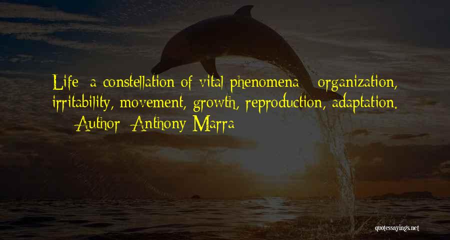 Constellation Quotes By Anthony Marra