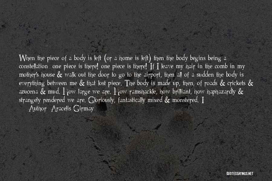 Constellation Quotes By Aracelis Girmay