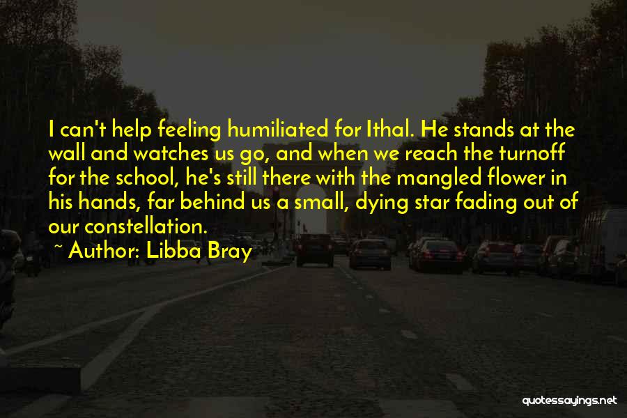 Constellation Quotes By Libba Bray