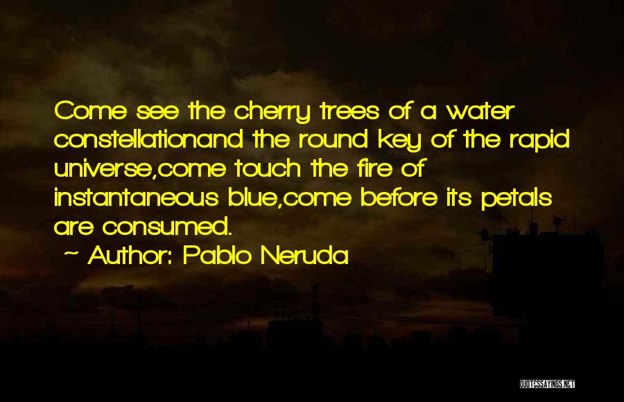 Constellation Quotes By Pablo Neruda