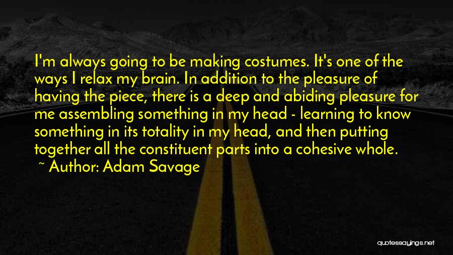 Constituent Quotes By Adam Savage