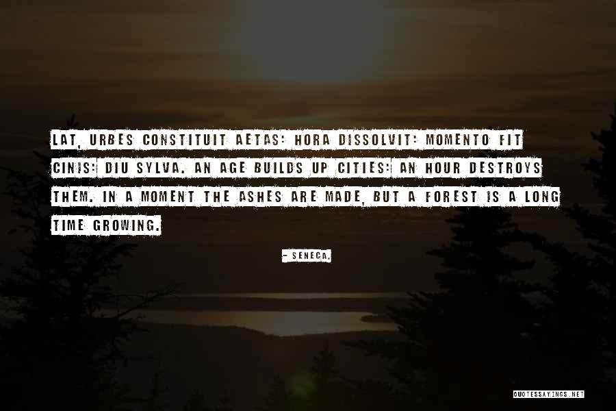 Constituit Quotes By Seneca. Constituit Quotes By Seneca.