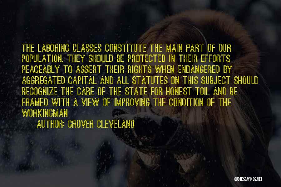 Constitute Quotes By Grover Cleveland