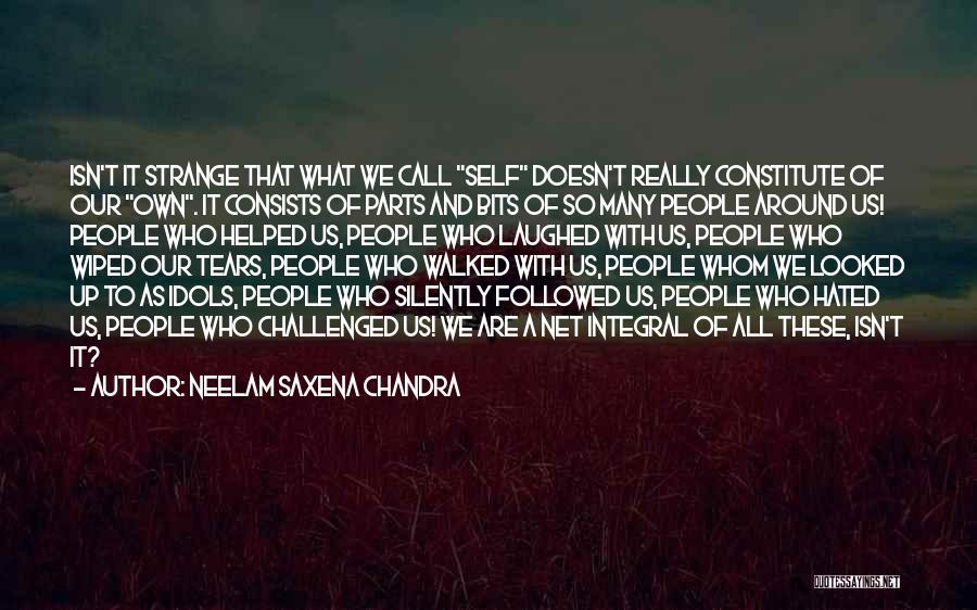 Constitute Quotes By Neelam Saxena Chandra