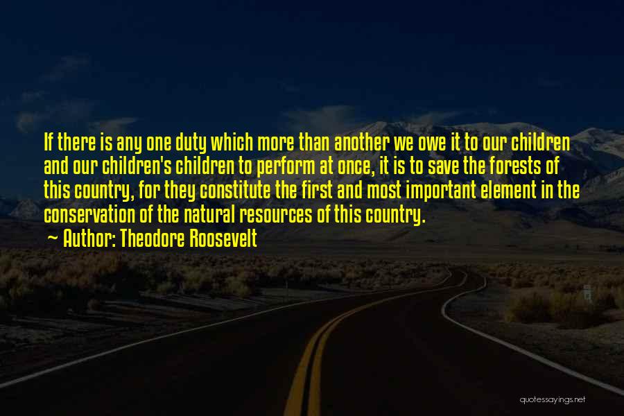 Constitute Quotes By Theodore Roosevelt