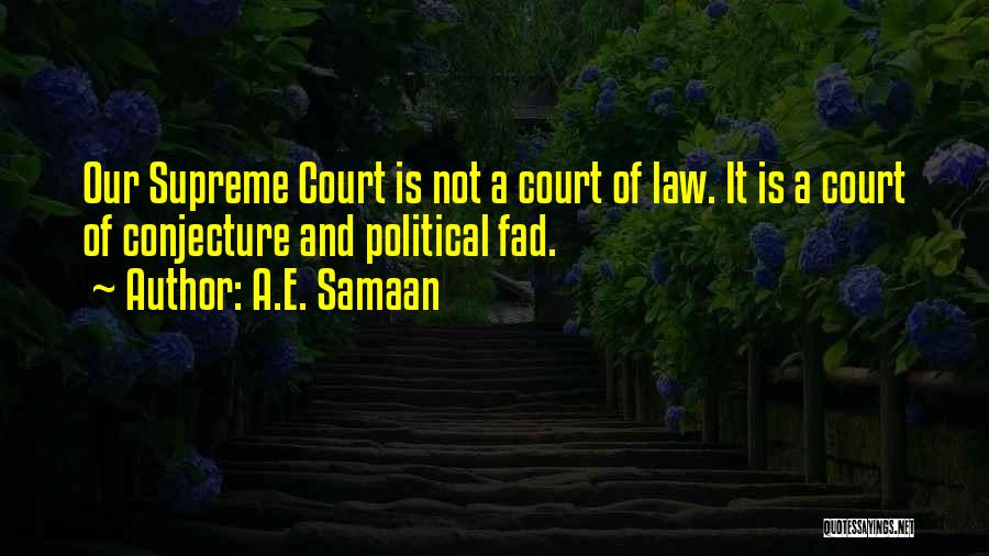 Constitutional Convention Quotes By A.E. Samaan