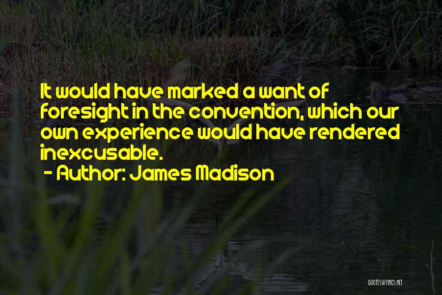 Constitutional Convention Quotes By James Madison