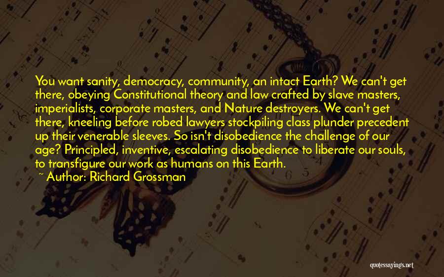 Constitutional Law Quotes By Richard Grossman