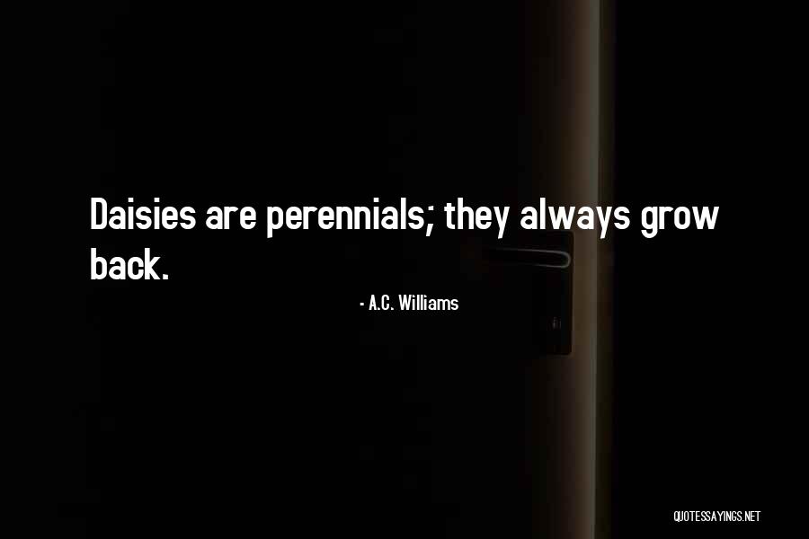Constitutionalism Ap Quotes By A.C. Williams