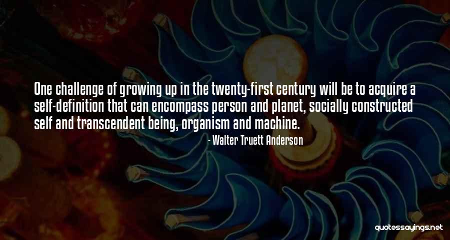 Constitutionalism Government Quotes By Walter Truett Anderson Constitutionalism Government Quotes By Walter Truett Anderson