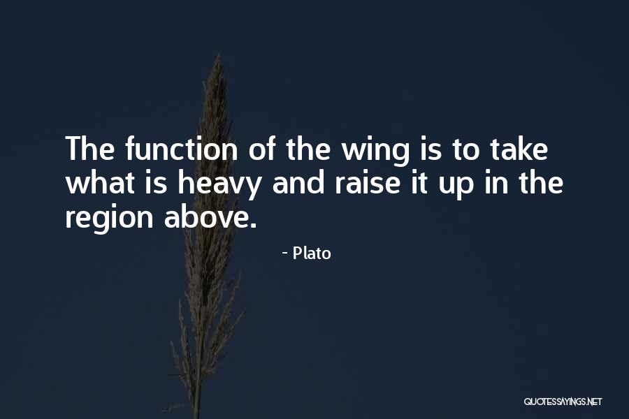 Construccion De Piscinas Quotes By Plato Construccion De Piscinas Quotes By Plato