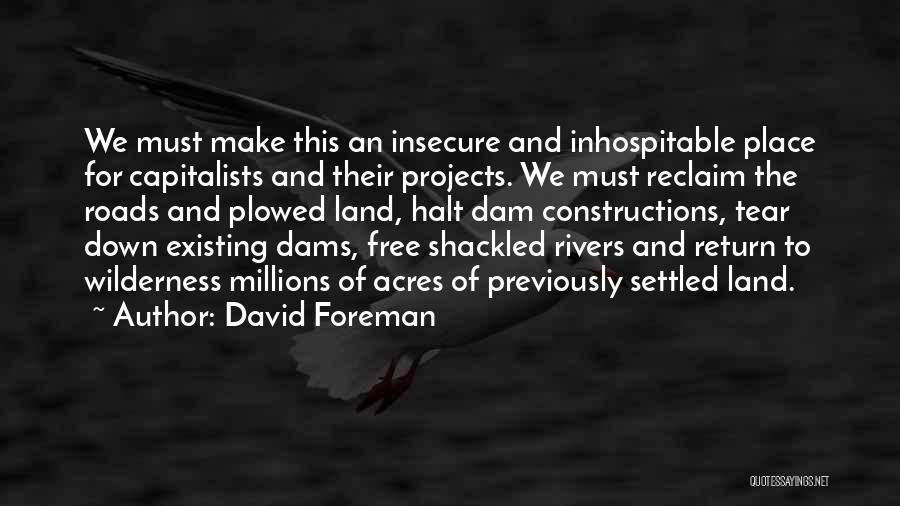 Constructions Quotes By David Foreman