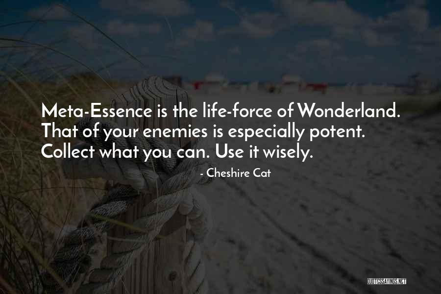 Constructural Engineering Quotes By Cheshire Cat Constructural Engineering Quotes By Cheshire Cat