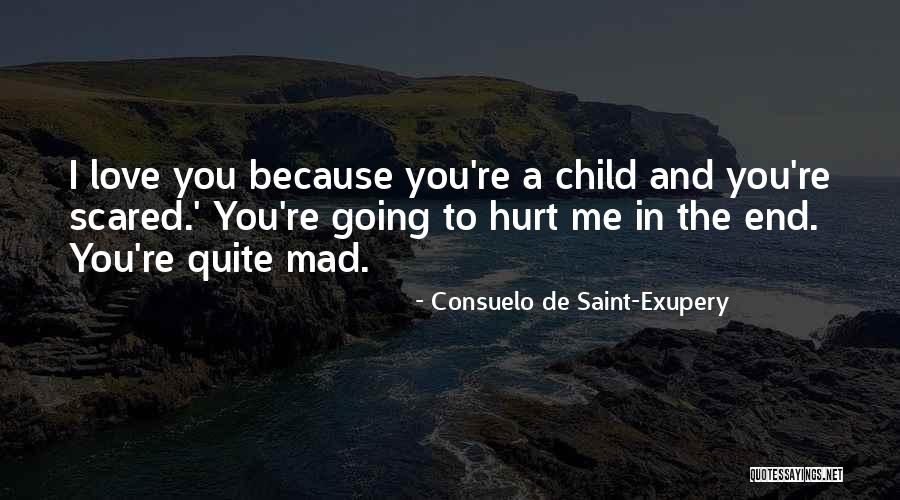 Consuelo De Saint-Exupery Quotes 1053156