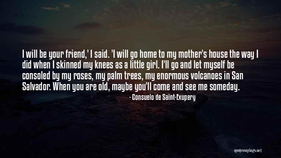 Consuelo De Saint-Exupery Quotes 857270