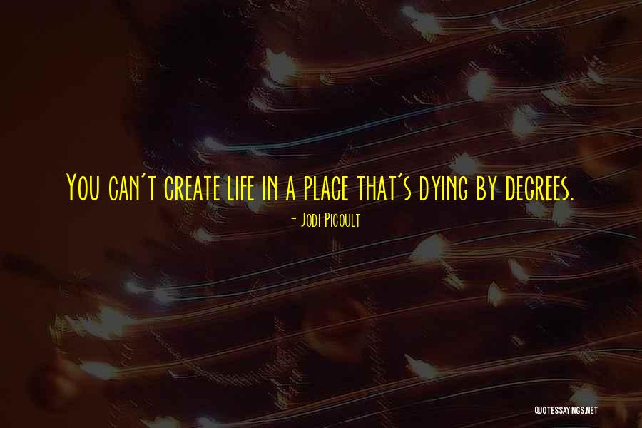 Consumables In Accounting Quotes By Jodi Picoult Consumables In Accounting Quotes By Jodi Picoult