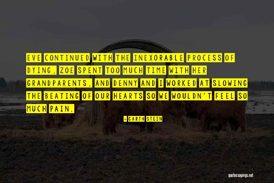 Consumatori De Energie Quotes By Garth Stein Consumatori De Energie Quotes By Garth Stein
