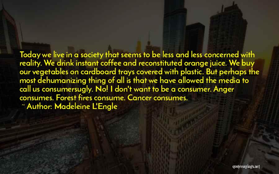 Consume Less Quotes By Madeleine L'Engle