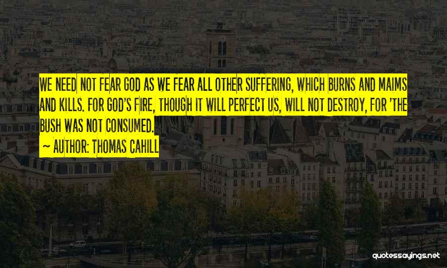 Consumed By Fear Quotes By Thomas Cahill