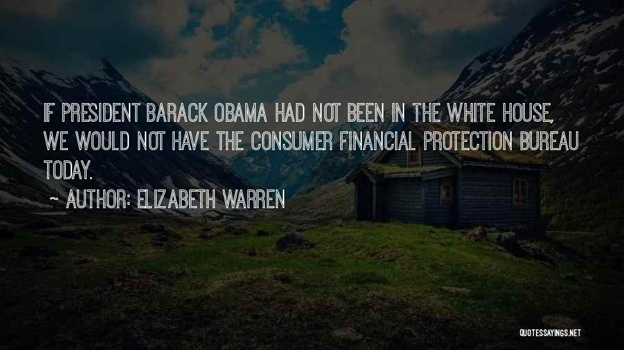 Consumer Financial Protection Bureau Quotes By Elizabeth Warren