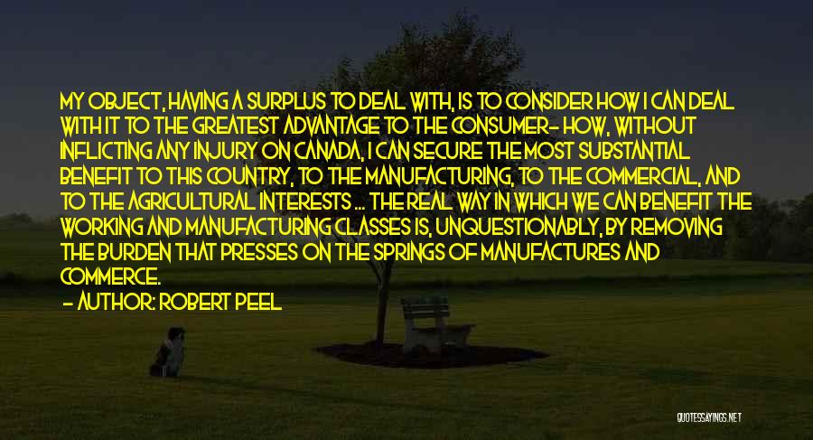 Consumer Surplus Quotes By Robert Peel