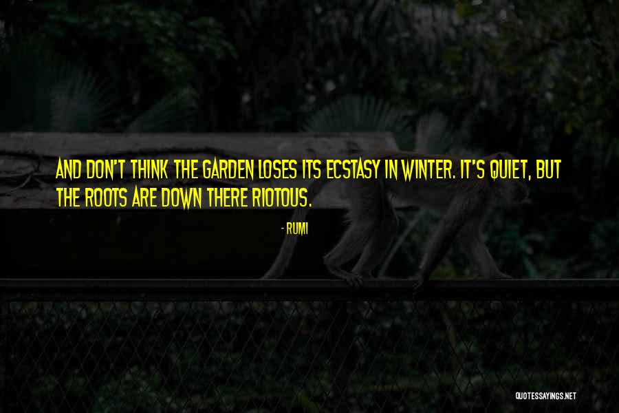 Consumeren Betekenis Quotes By Rumi Consumeren Betekenis Quotes By Rumi