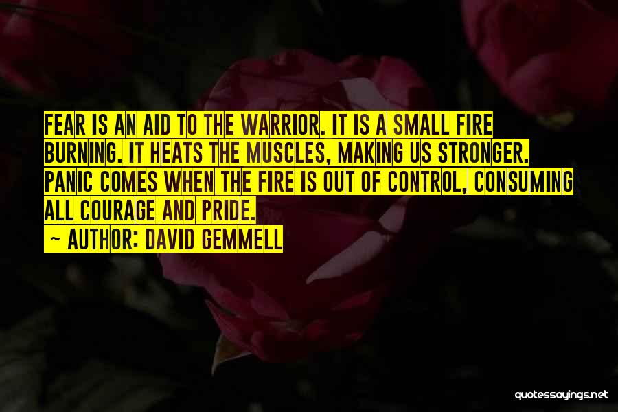 Consuming Fire Quotes By David Gemmell