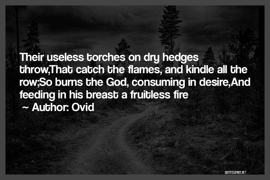 Consuming Fire Quotes By Ovid