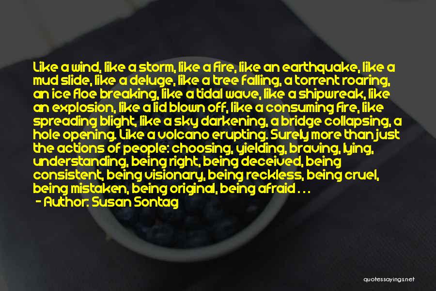 Consuming Fire Quotes By Susan Sontag