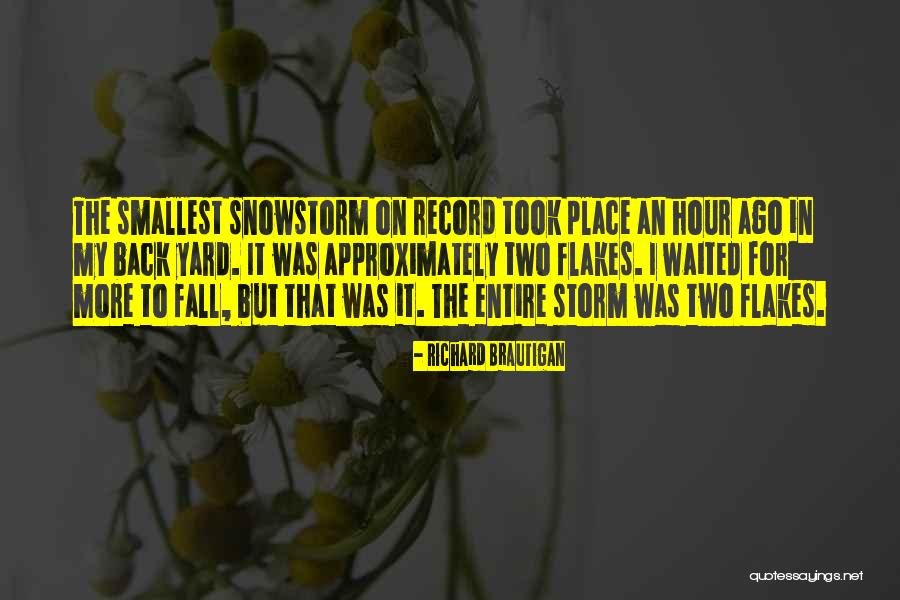 Consumismo Wikipedia Quotes By Richard Brautigan Consumismo Wikipedia Quotes By Richard Brautigan