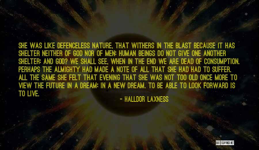 Consumption Quotes By Halldor Laxness