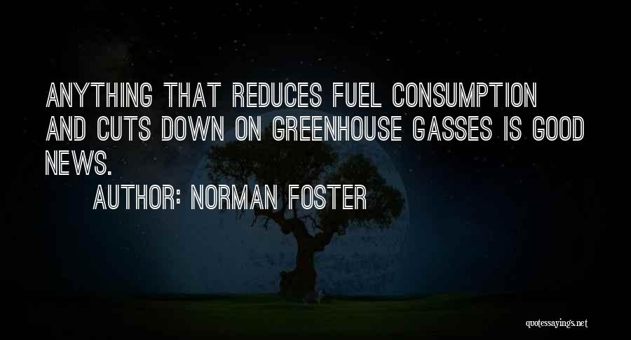 Consumption Quotes By Norman Foster