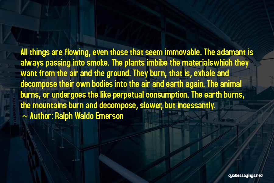 Consumption Quotes By Ralph Waldo Emerson