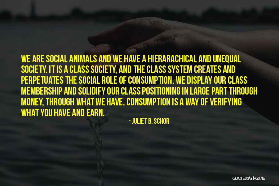 Consumption Society Quotes By Juliet B. Schor Consumption Society Quotes By Juliet B. Schor