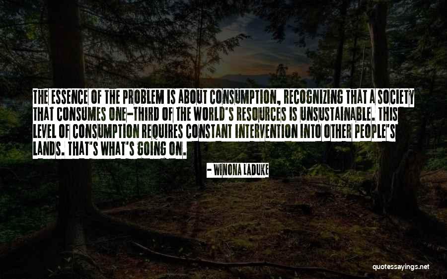 Consumption Society Quotes By Winona LaDuke Consumption Society Quotes By Winona LaDuke