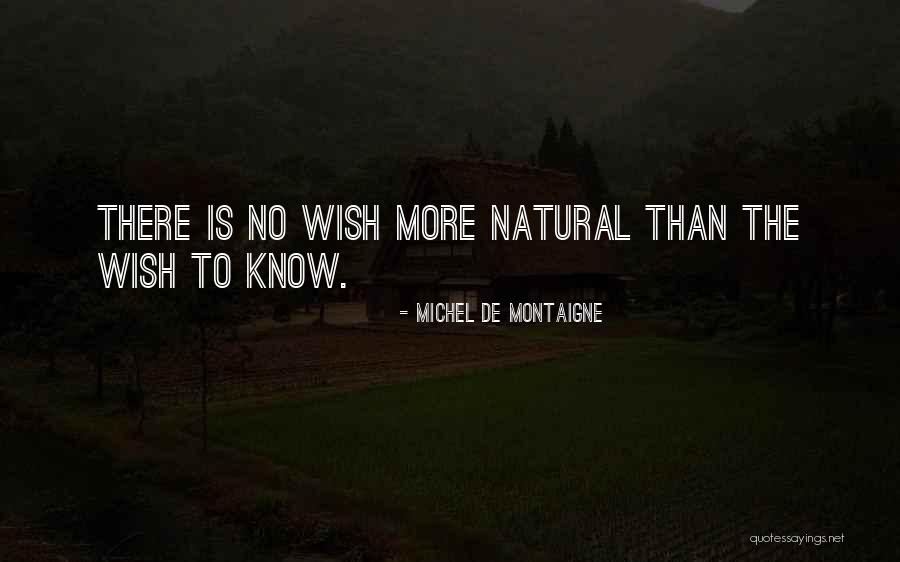 Consustancial Que Quotes By Michel De Montaigne