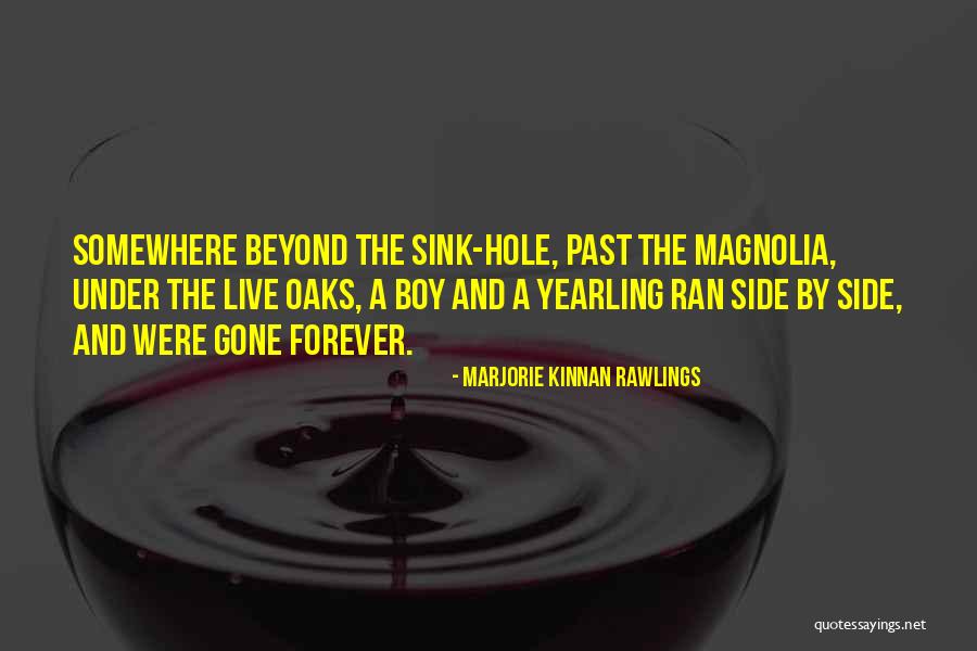 Contabilista Quotes By Marjorie Kinnan Rawlings Contabilista Quotes By Marjorie Kinnan Rawlings