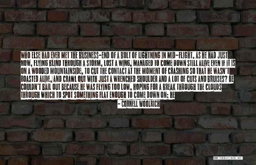 Contact Us Business Quotes By Cornell Woolrich Contact Us Business Quotes By Cornell Woolrich