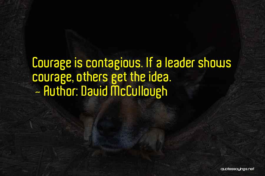 Contagious Idea Quotes By David McCullough