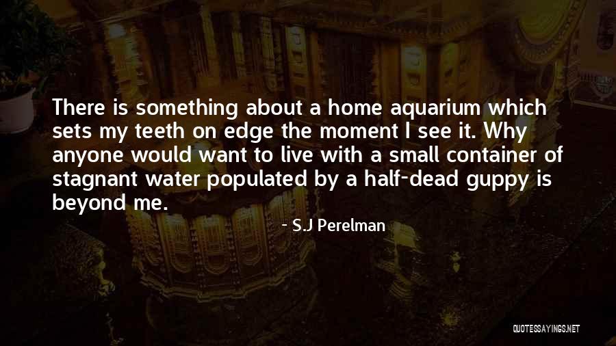 Container Home Quotes By S.J Perelman Container Home Quotes By S.J Perelman