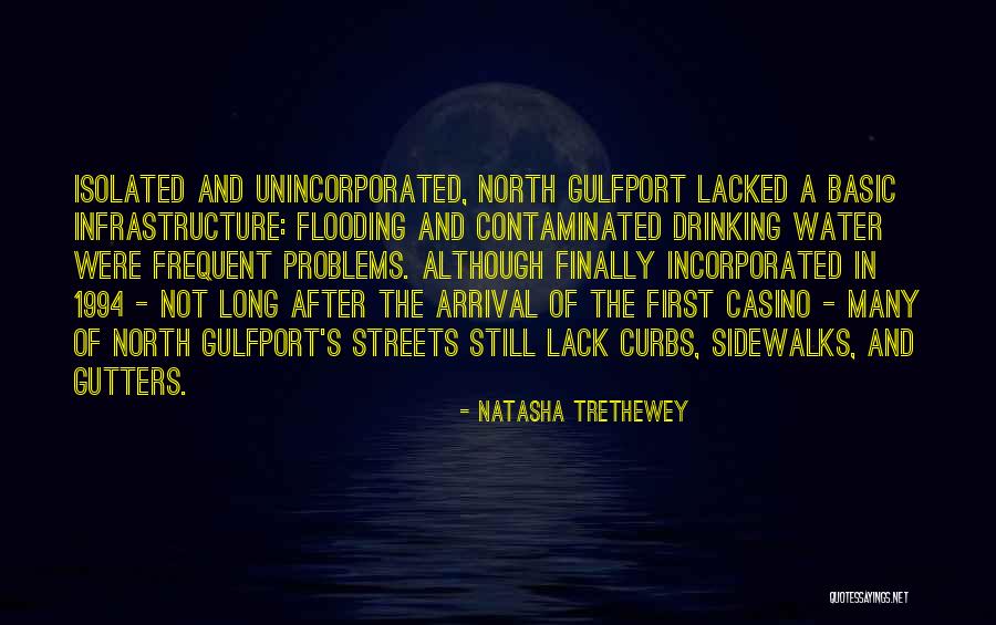 Contaminated Water Quotes By Natasha Trethewey