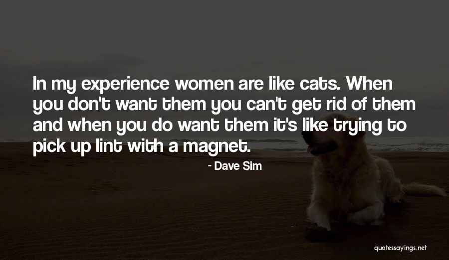Contardi Consulting Quotes By Dave Sim Contardi Consulting Quotes By Dave Sim