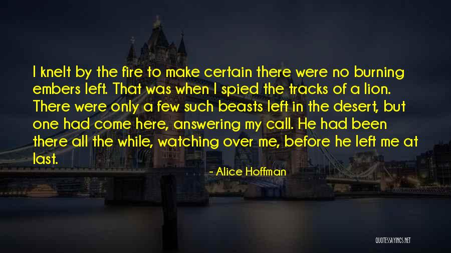 Contarselo Quotes By Alice Hoffman Contarselo Quotes By Alice Hoffman