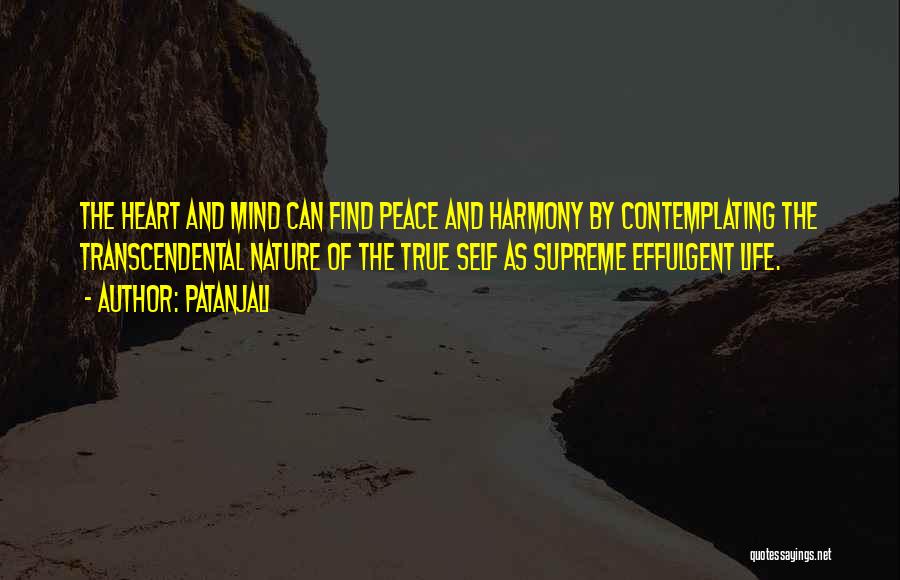 Contemplating Nature Quotes By Patanjali