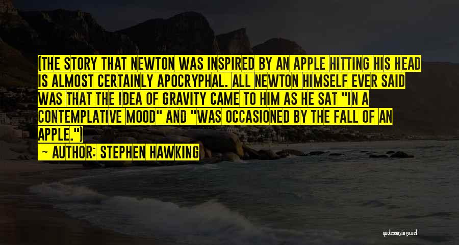 Contemplative Quotes By Stephen Hawking