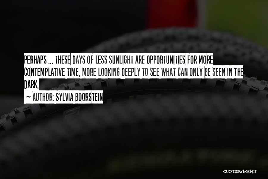 Contemplative Quotes By Sylvia Boorstein