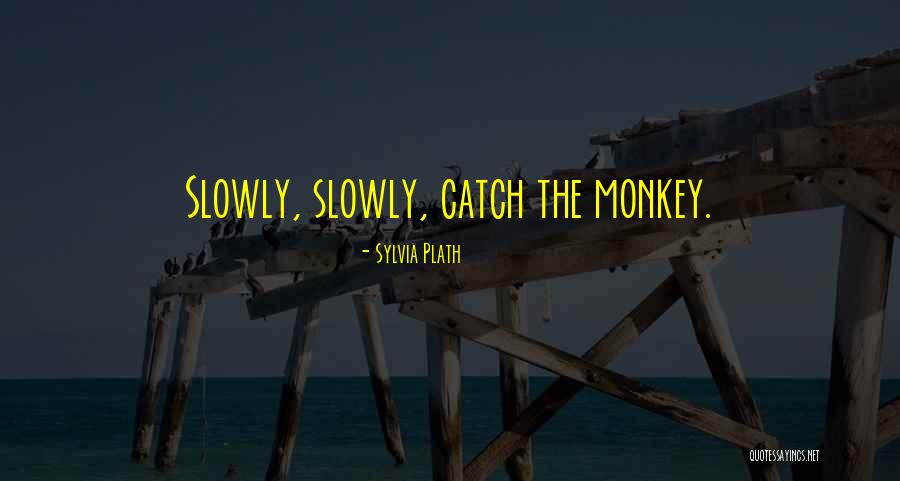Contemplator Marvel Quotes By Sylvia Plath Contemplator Marvel Quotes By Sylvia Plath