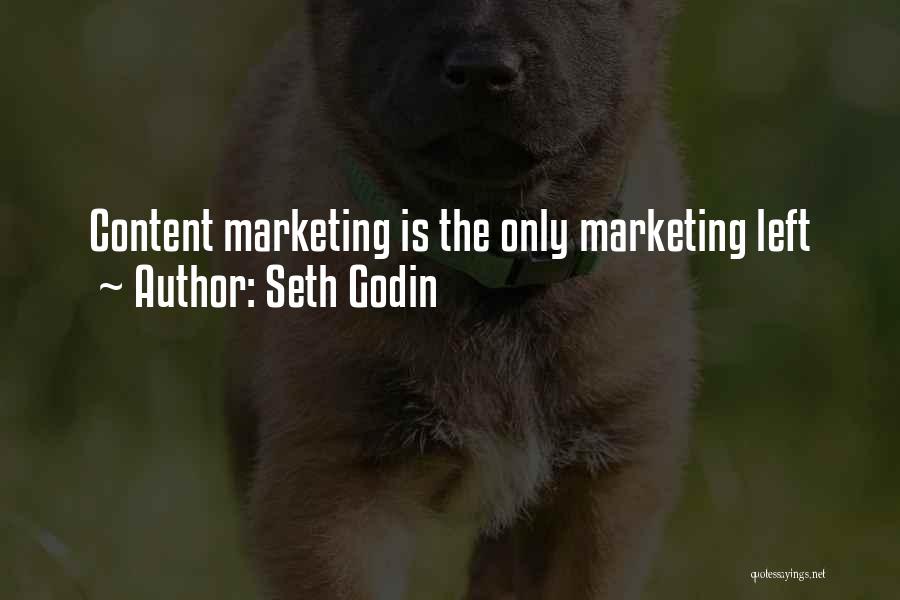 Content Marketing Quotes By Seth Godin