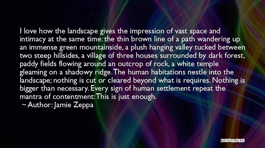Contentment And Love Quotes By Jamie Zeppa